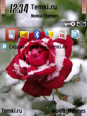 Роза в снегу для Nokia E66
