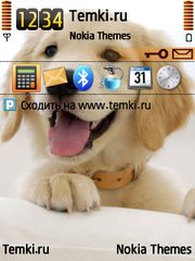 Маленький ретривер для Nokia N91