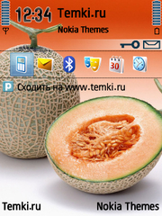Дыня для Nokia E50