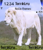 Белый лев для Nokia N72