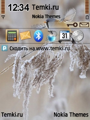 Птичка для Nokia N81 8GB