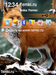 Лисица для Nokia 6205