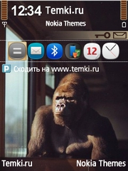 Обезьян для Nokia N81
