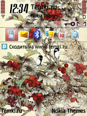 Синички для Nokia N75