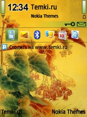 Заросли для Nokia E5-00