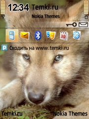 Волчий детеныш для Nokia N96-3