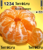 Апельсин для Samsung SGH-Z600