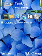 Цветы для Nokia N96