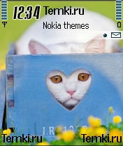 Странность для Nokia N90