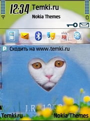 Странность для Nokia N73