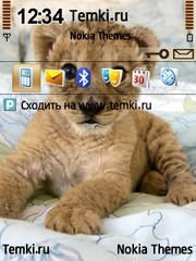 Удивленный котёнок для Nokia E73 Mode