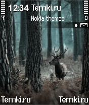 В лесу для Nokia N72