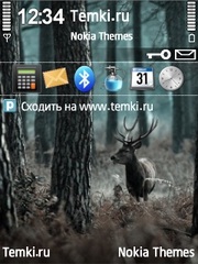 В лесу для Nokia N85