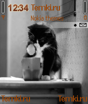 Кот для Nokia 6638