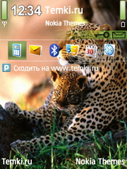 С мамочкой для Nokia 5500