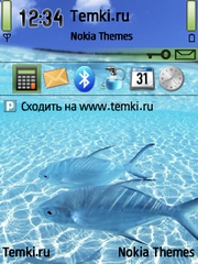 Рыбы для Nokia N95 8GB