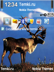 Северный олень для Nokia 6210 Navigator