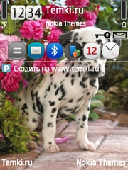 Далматинец для Nokia N95