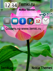 Цветок для Nokia E66