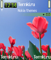 Розовые тюльпаны для Nokia 6638