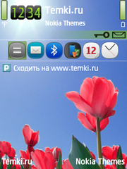 Розовые тюльпаны для Nokia 6730 classic