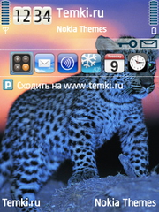 Глаза в темноте для Nokia E5-00