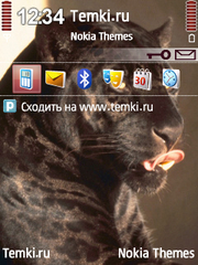Пантерка для Nokia N78