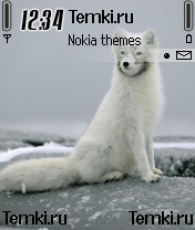 Зверечек для Nokia 6680