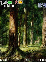 Лесной олень для Nokia 6300