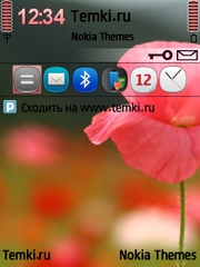 Цветок для Nokia N81