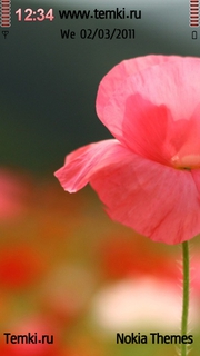 Цветок для Nokia N8