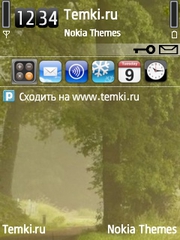 Зеленая история для Nokia 6790 Slide