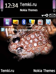 Бриллианты Цвета Шампань для Nokia N92