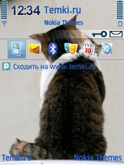 Истинная любовь для Nokia N92