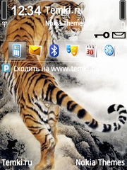 Тигр для Nokia E61