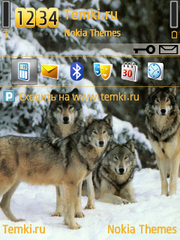 Волчья стая для Nokia E5-00