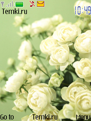 Белые розы для Nokia C3-01 Gold Edition