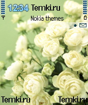 Белые розы для Samsung SGH-Z600