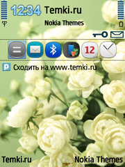 Белые розы для Samsung i7110