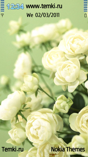 Белые розы для Sony Ericsson Idou