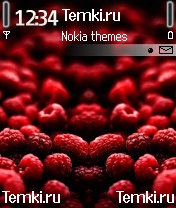 Малинка для Nokia 6638