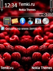 Малинка для Nokia N76