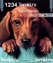 Собака для Nokia 6620