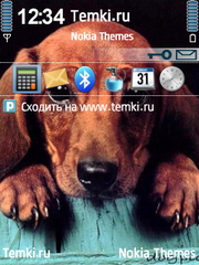 Собака для Nokia 6124 Classic