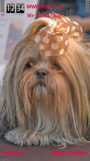 Гламурная Собака для Sony Ericsson Idou
