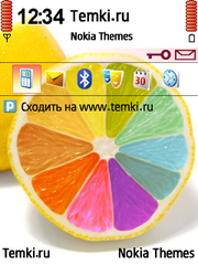 Чокнутый апельсин для Nokia 6760 Slide