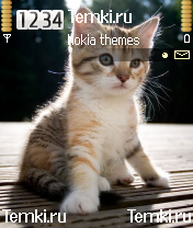Котенок для Nokia 6620