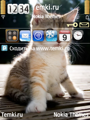 Котенок для Nokia 6760 Slide
