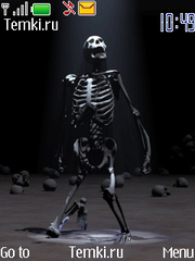 Скелет для Nokia 208