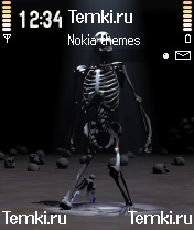 Скелет для Nokia N70